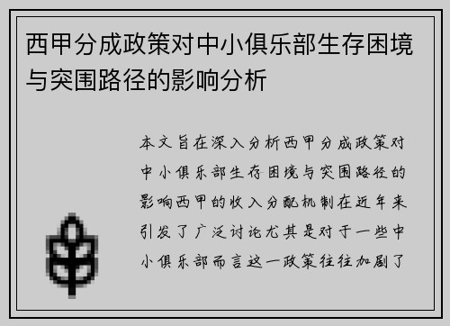 西甲分成政策对中小俱乐部生存困境与突围路径的影响分析